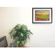 Belle Vue Stadium Fine Art Print - Doncaster Rovers FC